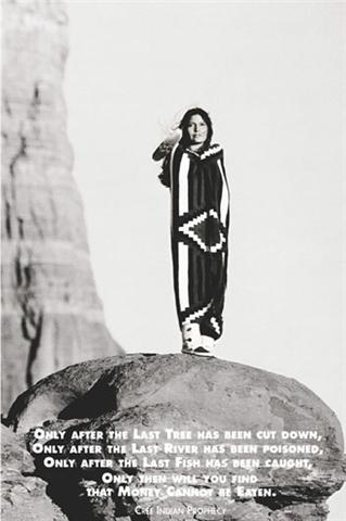 Marcos para cuadros laminas enmarcados, Indian prophecy